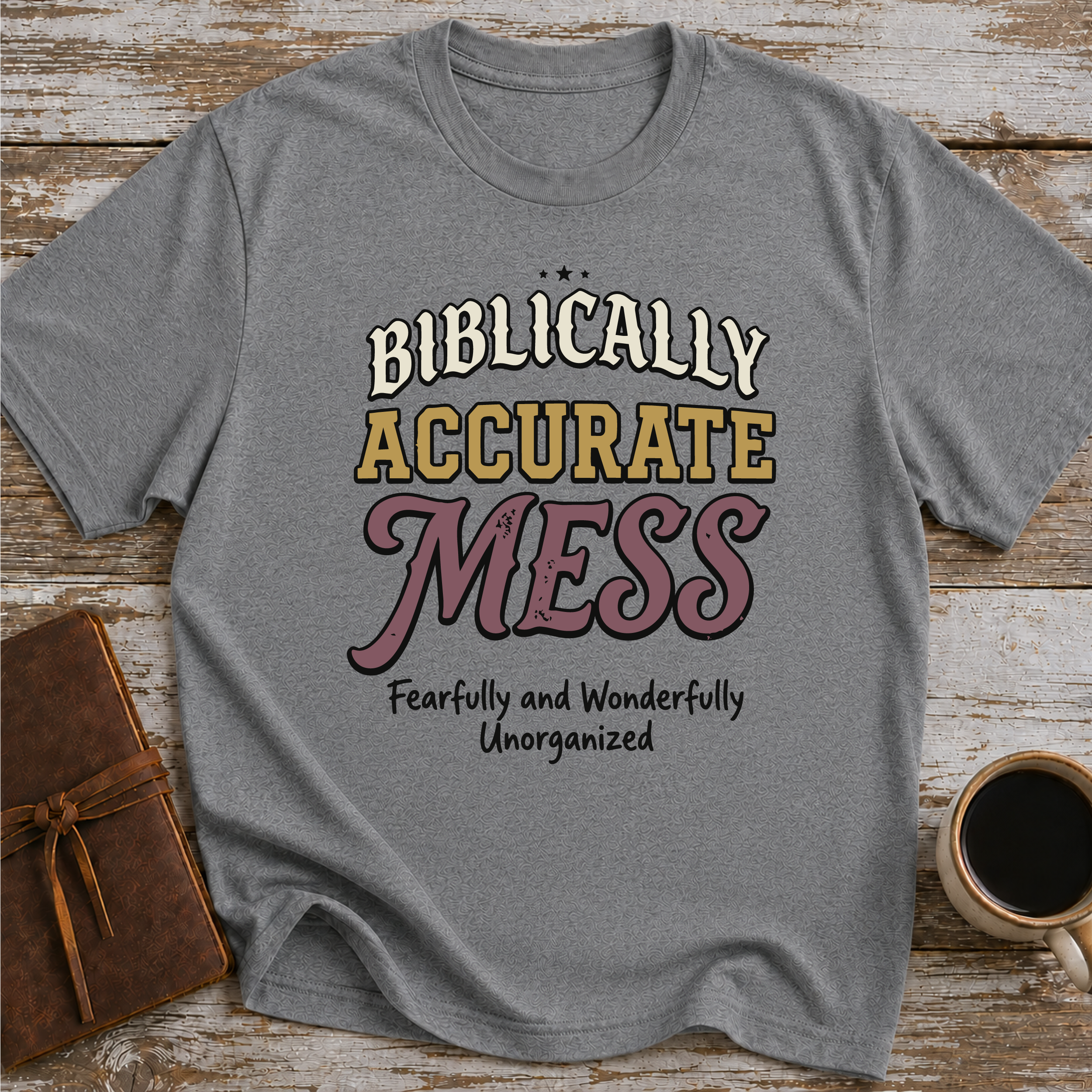 Biblically Accurate Mess - T-Shirt