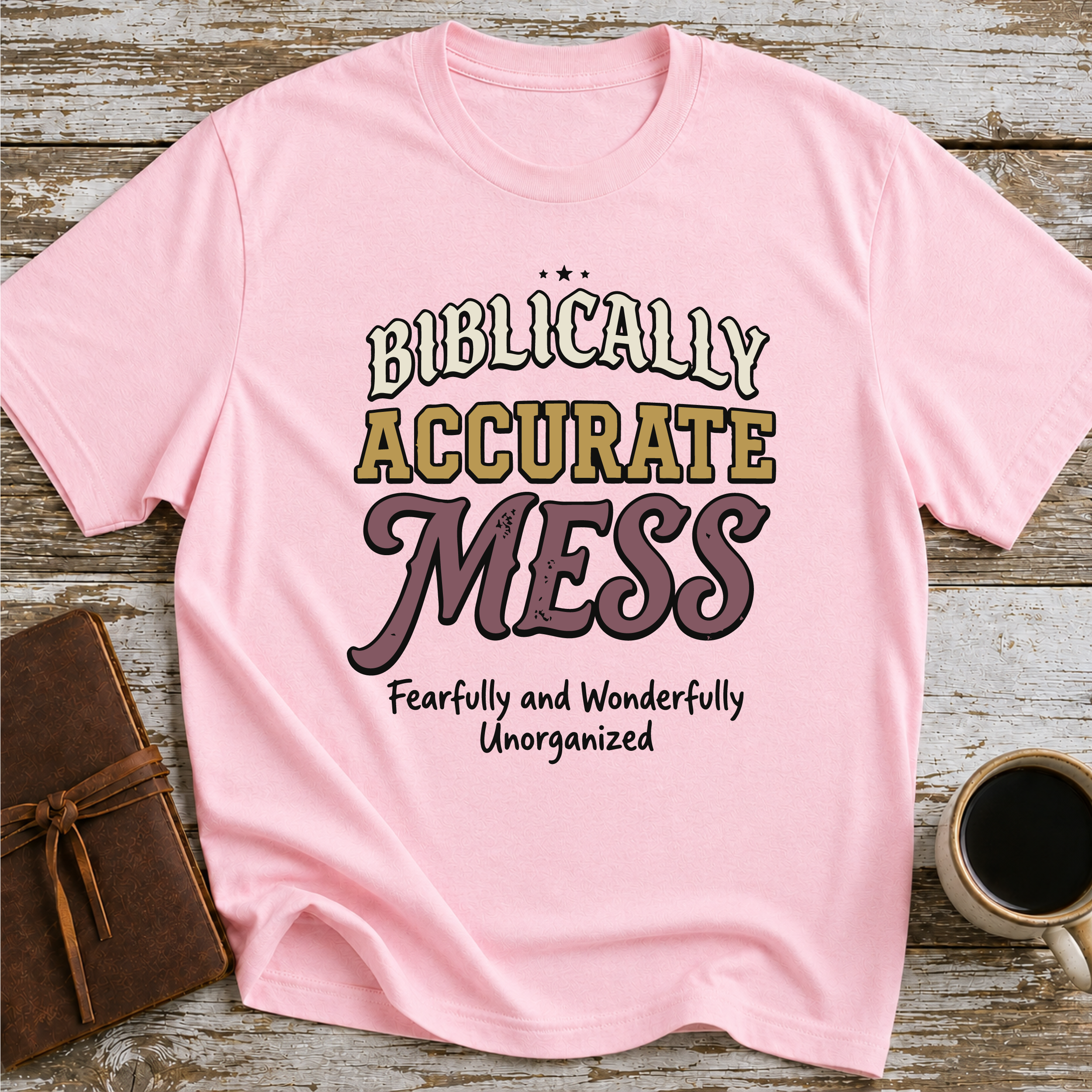 Biblically Accurate Mess - T-Shirt