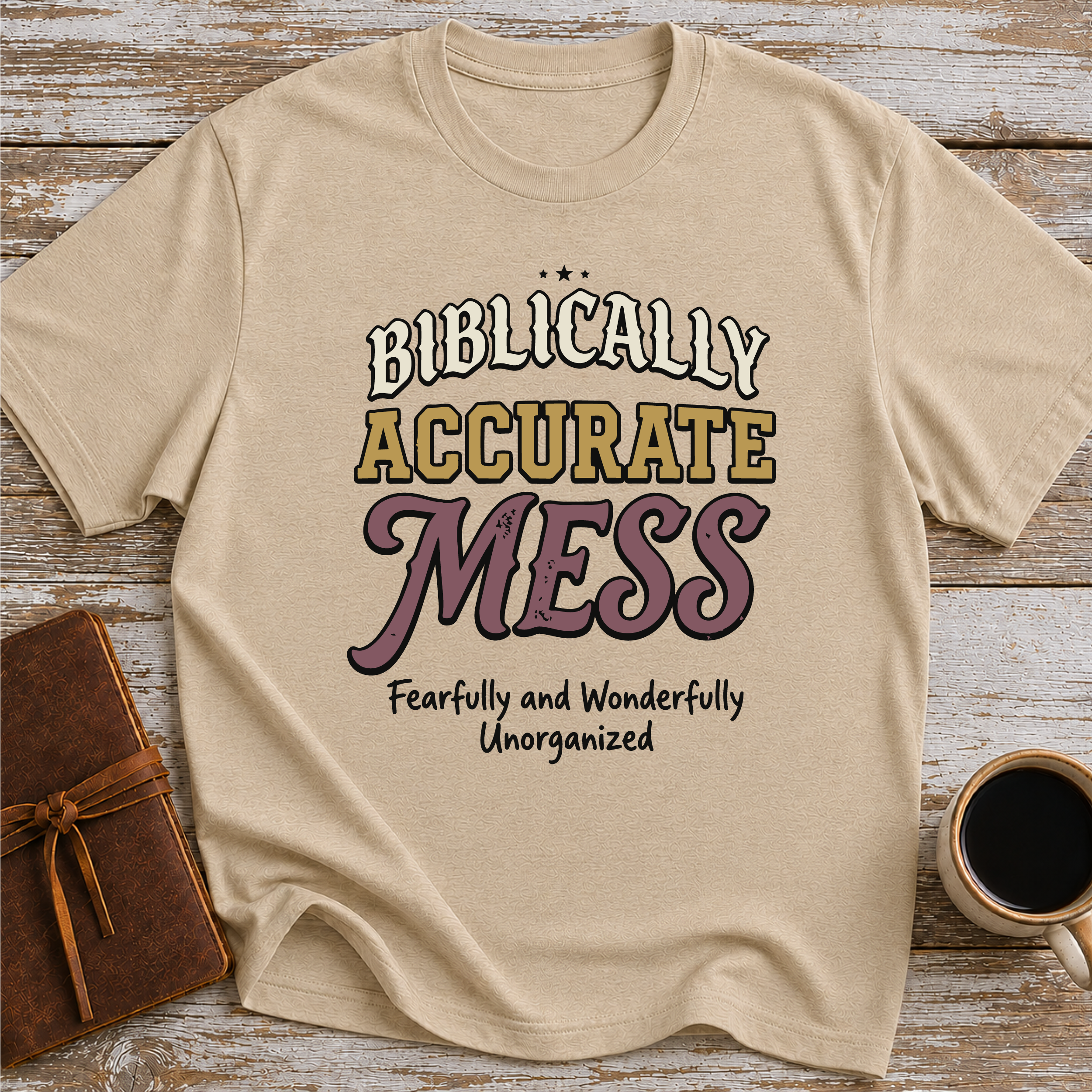 Biblically Accurate Mess - T-Shirt